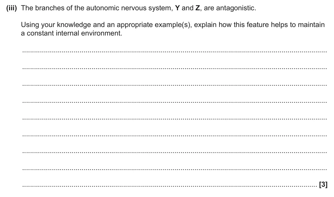 June 2025 Paper 1, question 31(b)(iii): The branches of the autonomic nervous system, Y and Z, are antagonistic. Using your knowledge and an appropriate example(s), explain how this feature helps to m