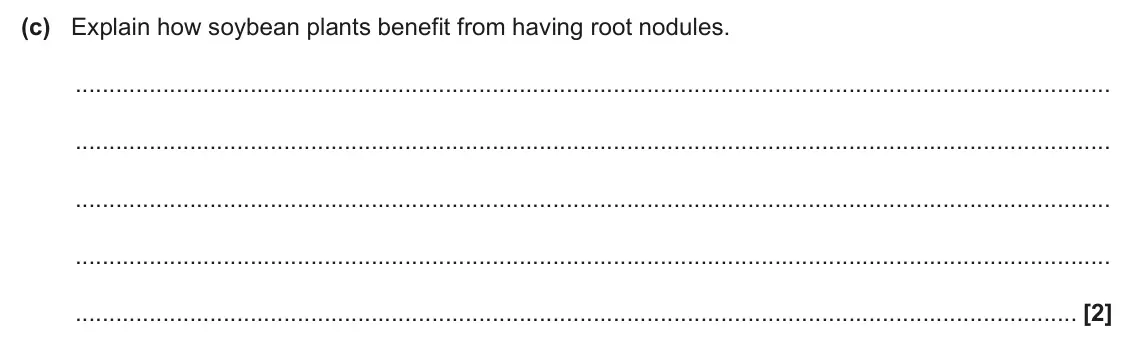 June 2025 Paper 1, question 33(c): Explain how soybean plants benefit from having root nodules. [2]