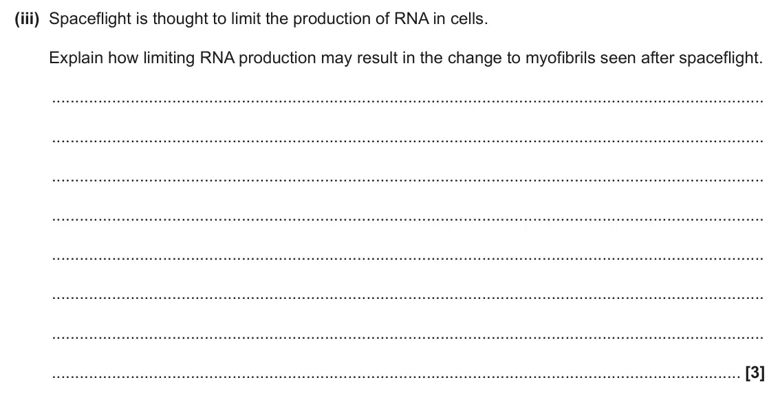 June 2025 Paper 1, question 34(a)(iii): Spaceflight is thought to limit the production of RNA in cells. Explain how limiting RNA production may result in the change to myofibrils seen after spacefligh