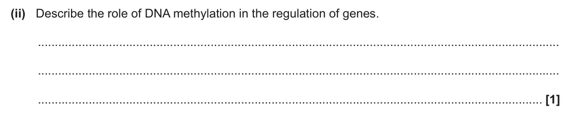 June 2025 Paper 1, question 36(b)(ii): Describe the role of DNA methylation in the regulation of genes. [1]