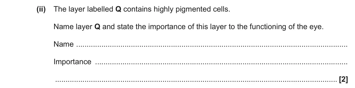 November 2021 Paper 1, question 32(b)(ii): The layer labelled Q contains highly pigmented cells. Name layer Q and state the importance of this layer to the functioning of the eye. Name Importance [2]