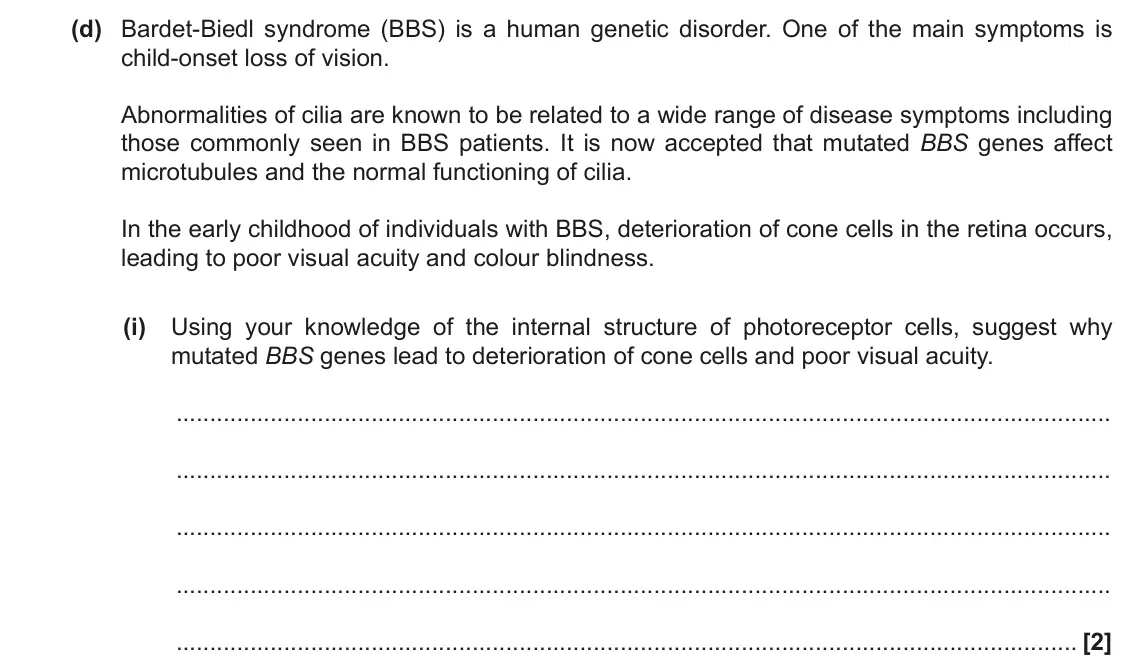 November 2021 Paper 1, question 32(d)(i): Using your knowledge of the internal structure of photoreceptor cells, suggest why mutated BBS genes lead to deterioration of cone cells and poor visual acuity.