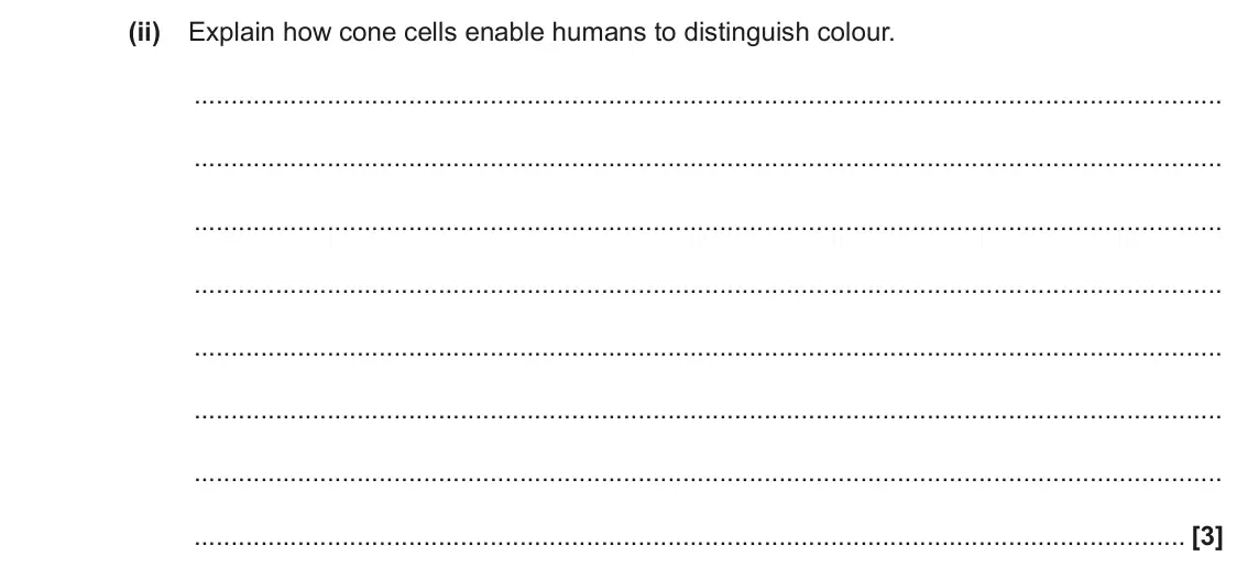 November 2021 Paper 1, question 32(d)(ii): Explain how cone cells enable humans to distinguish colour. [3]