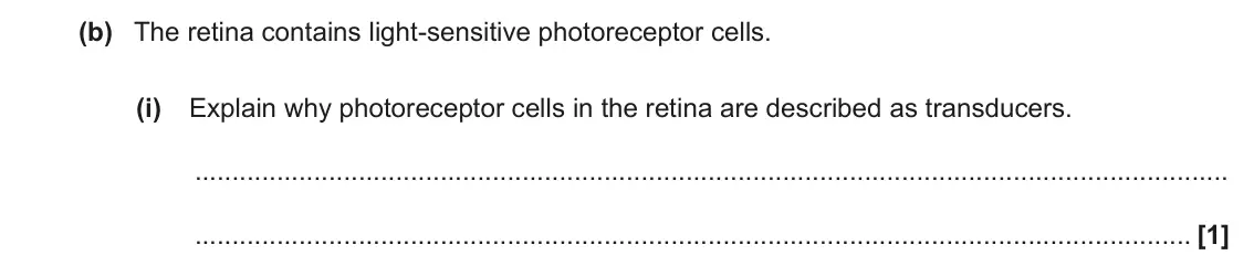 June 2019 Paper 2, question 5(b)(i): Explain why photoreceptor cells in the retina are described as transducers. [1]