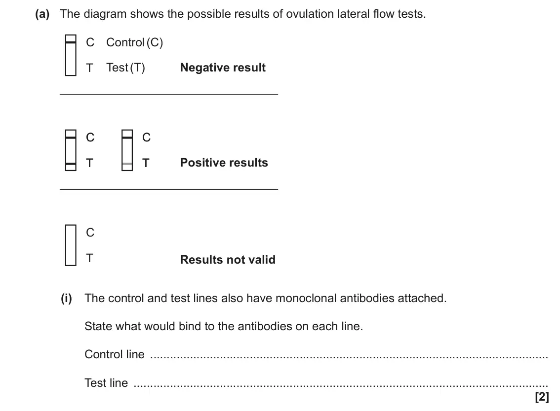 June 2023 Paper 2, question 5(a)(i): The control and test lines also have monoclonal antibodies attached. State what would bind to the antibodies on each line. Control line Test line [2]