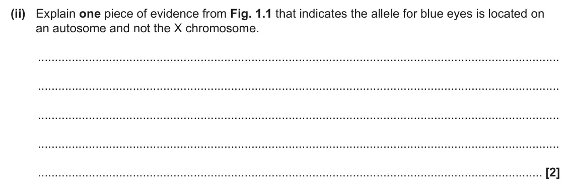 June 2024 Paper 2, question 1(b)(ii): Explain one piece of evidence from Fig. 1.1 that indicates the allele for blue eyes is located on an autosome and not the X chromosome. [2]