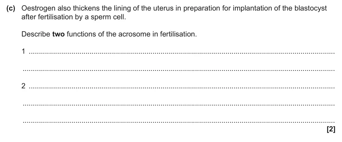 June 2024 Paper 2, question 2(c): Oestrogen also thickens the lining of the uterus in preparation for implantation of the blastocyst after fertilisation by a sperm cell. Describe two functions o