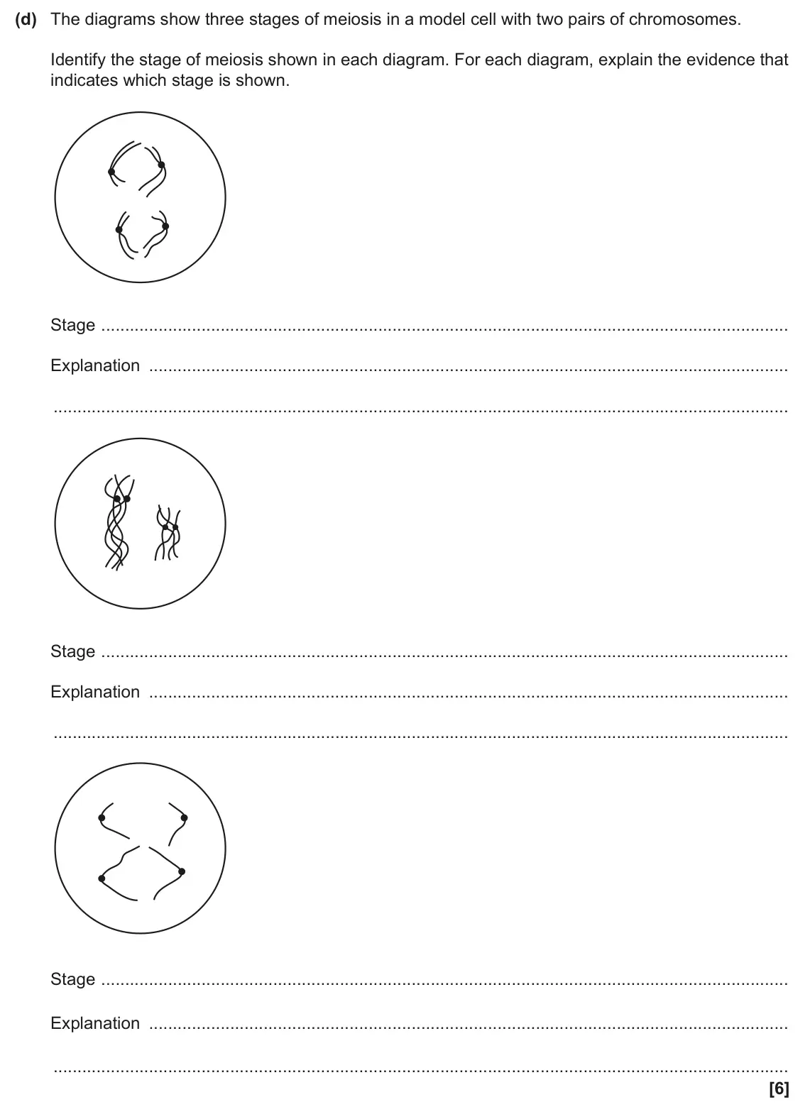 June 2024 Paper 2, question 2(d): The diagrams show three stages of meiosis in a model cell with two pairs of chromosomes. Identify the stage of meiosis shown in each diagram. For each diagram, 