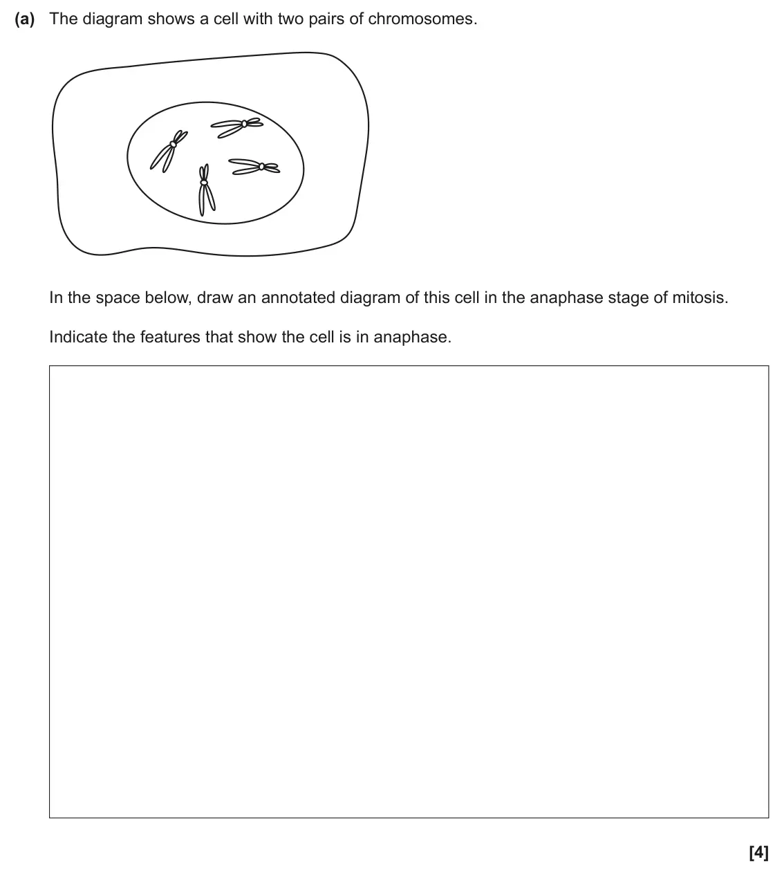 June 2024 Paper 2, question 4(a): The diagram shows a cell with two pairs of chromosomes. In the space below, draw an annotated diagram of this cell in the anaphase stage of mitosis. Indicate th