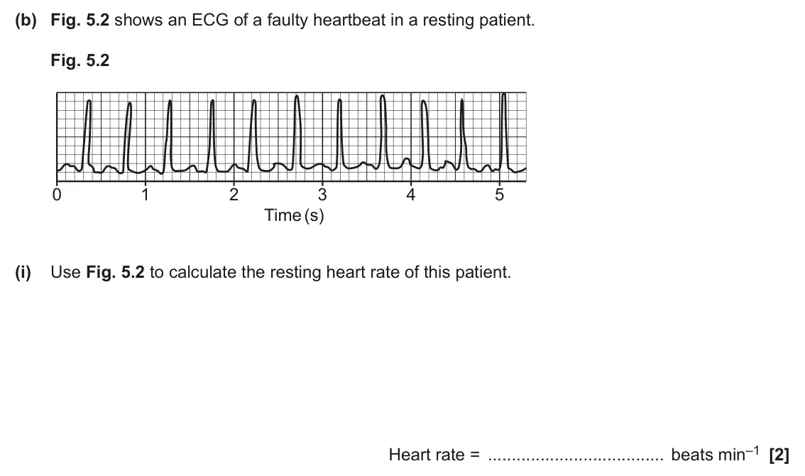 June 2024 Paper 2, question 5(b)(i): Use Fig. 5.2 to calculate the resting heart rate of this patient. Heart rate = beats min–1 [2]