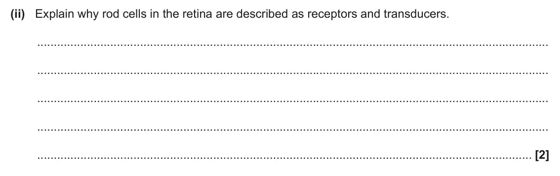June 2024 Paper 2, question 6(a)(ii): Explain why rod cells in the retina are described as receptors and transducers. [2]