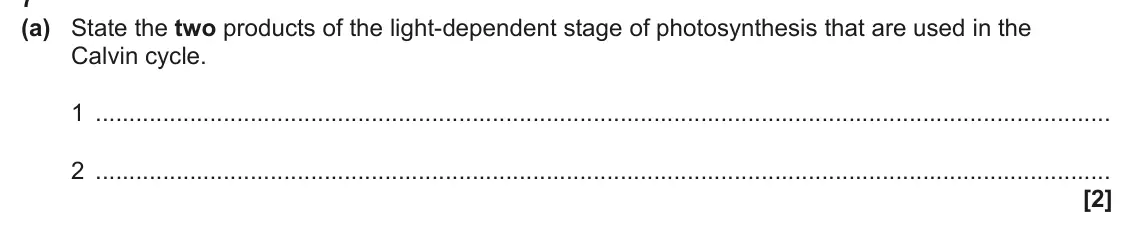 June 2024 Paper 2, question 7(a): State the two products of the light-dependent stage of photosynthesis that are used in the Calvin cycle. 1 2 [2]