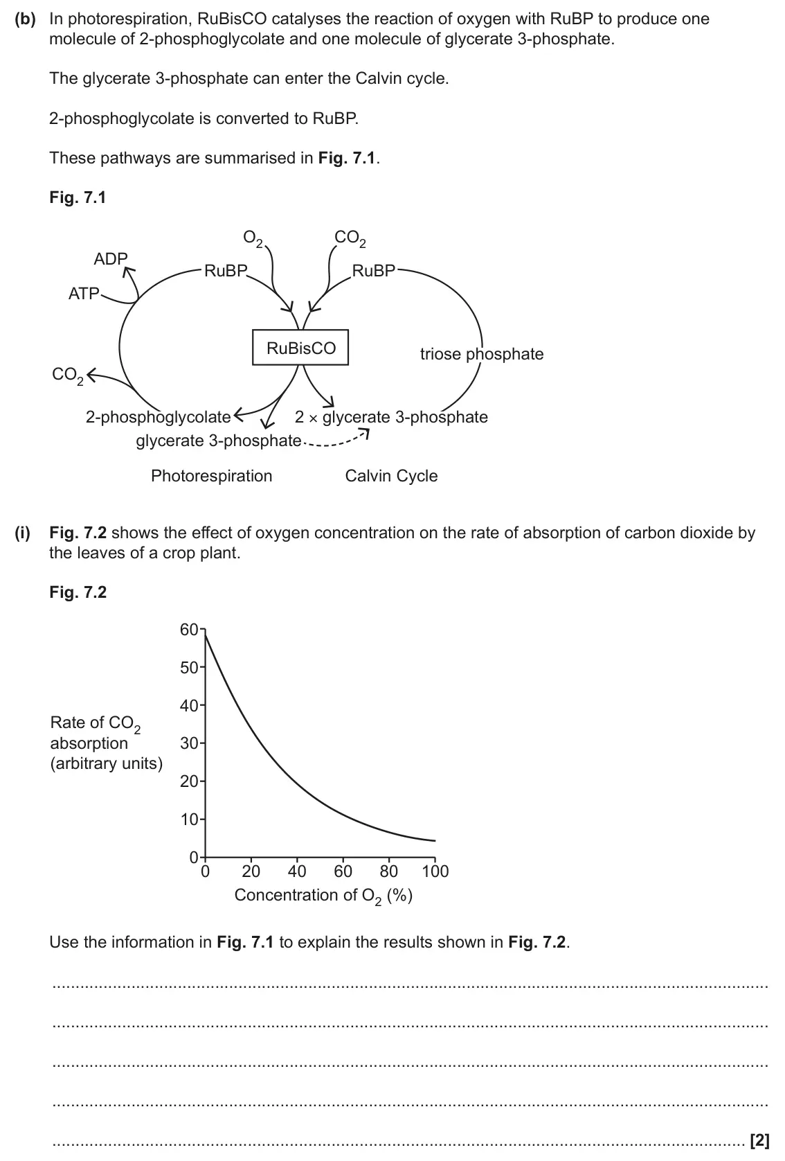 June 2024 Paper 2, question 7(b)(i): Fig. 7.2 shows the effect of oxygen concentration on the rate of absorption of carbon dioxide by the leaves of a crop plant. Fig. 7.2 60 50 40 Rate of CO2 absor