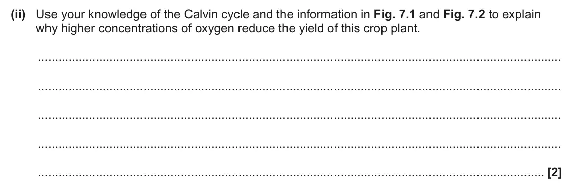 June 2024 Paper 2, question 7(b)(ii): Use your knowledge of the Calvin cycle and the information in Fig. 7.1 and Fig. 7.2 to explain why higher concentrations of oxygen reduce the yield of this crop