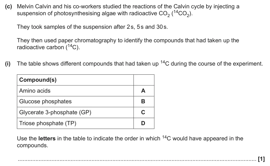 June 2024 Paper 2, question 7(c)(i): Compound(s) Amino acids A Glucose phosphates B Glycerate 3-phosphate (GP) C Triose phosphate (TP) D Use the letters in the table to indicate the order in which 