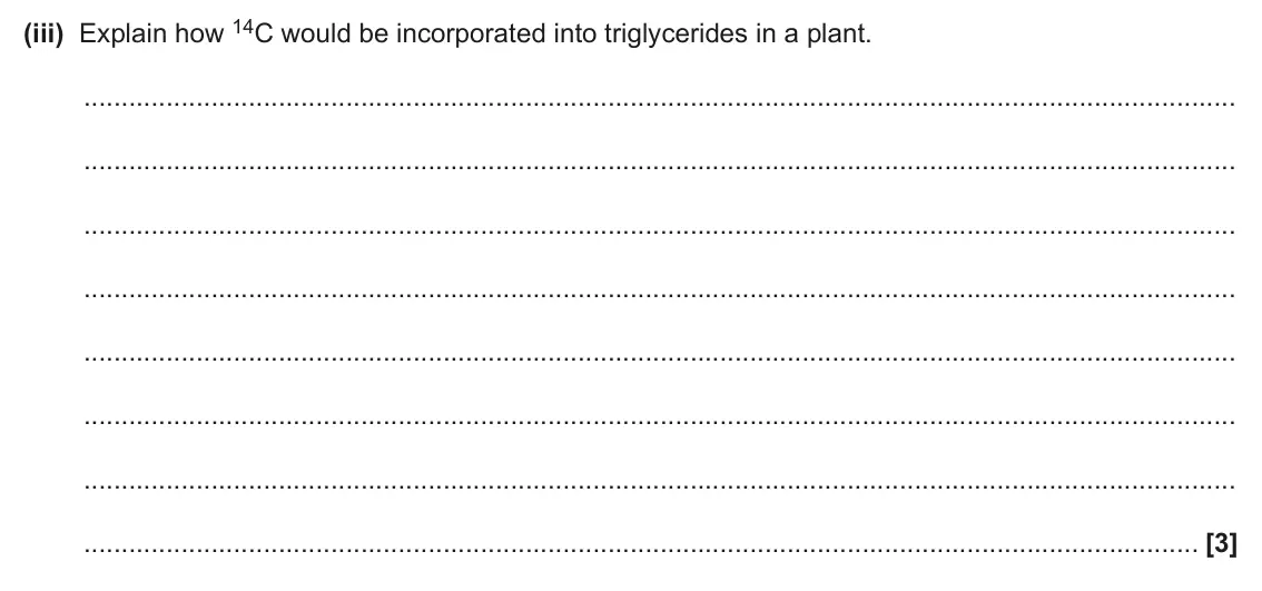 June 2024 Paper 2, question 7(c)(iii): Explain how 14C would be incorporated into triglycerides in a plant. [3]