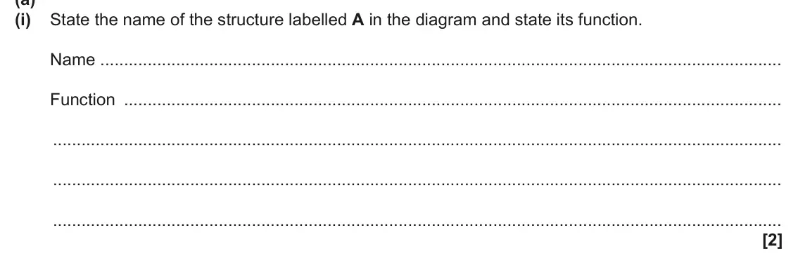June 2025 Paper 2, question 1(a)(i): State the name of the structure labelled A in the diagram and state its function. Name Function [2]