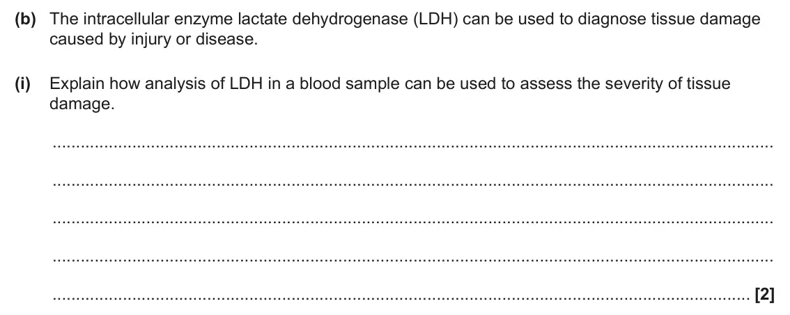 June 2025 Paper 2, question 2(b)(i): Explain how analysis of LDH in a blood sample can be used to assess the severity of tissue damage. [2]