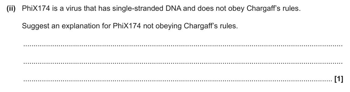 June 2025 Paper 2, question 6(a)(ii): PhiX174 is a virus that has single-stranded DNA and does not obey Chargaff’s rules. Suggest an explanation for PhiX174 not obeying Chargaff’s rules. [1]