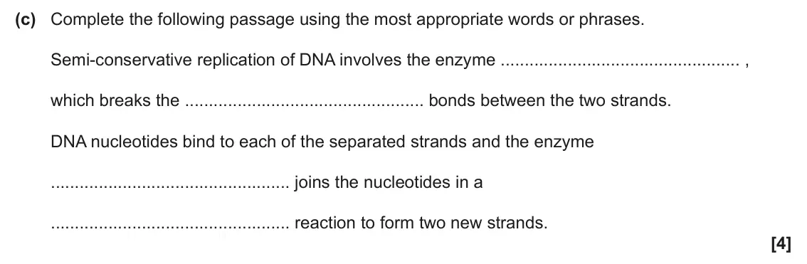June 2025 Paper 2, question 7(c): Complete the following passage using the most appropriate words or phrases. Semi-conservative replication of DNA involves the enzyme , which breaks the bonds be
