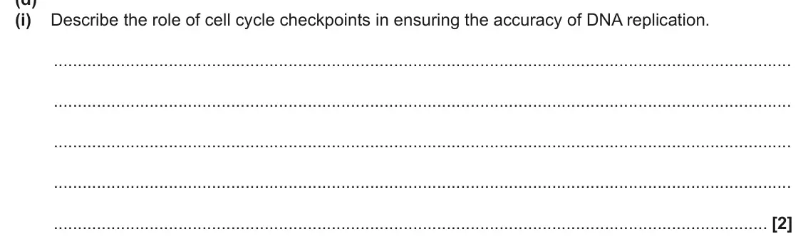 June 2025 Paper 2, question 7(d)(i): Describe the role of cell cycle checkpoints in ensuring the accuracy of DNA replication. [2]