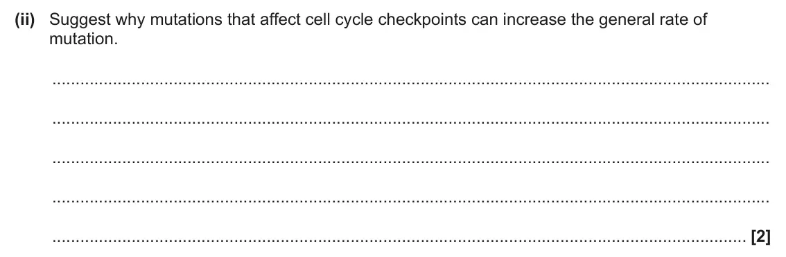 June 2025 Paper 2, question 7(d)(ii): Suggest why mutations that affect cell cycle checkpoints can increase the general rate of mutation. [2]