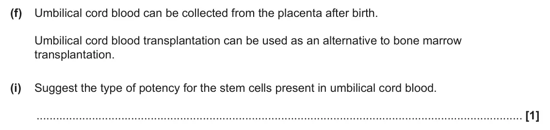 June 2025 Paper 2, question 7(f)(i): Suggest the type of potency for the stem cells present in umbilical cord blood. [1]