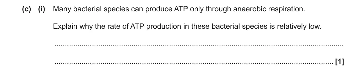June 2022 Paper 3, question 4(c)(i): Many bacterial species can produce ATP only through anaerobic respiration. Explain why the rate of ATP production in these bacterial species is relatively low. 