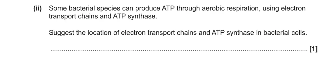 June 2022 Paper 3, question 4(c)(ii): Some bacterial species can produce ATP through aerobic respiration, using electron transport chains and ATP synthase. Suggest the location of electron transport