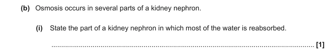 June 2022 Paper 3, question 5(b)(i): State the part of a kidney nephron in which most of the water is reabsorbed. [1]