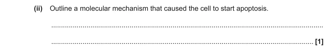 June 2023 Paper 3, question 1(b)(ii): Outline a molecular mechanism that caused the cell to start apoptosis. [1]