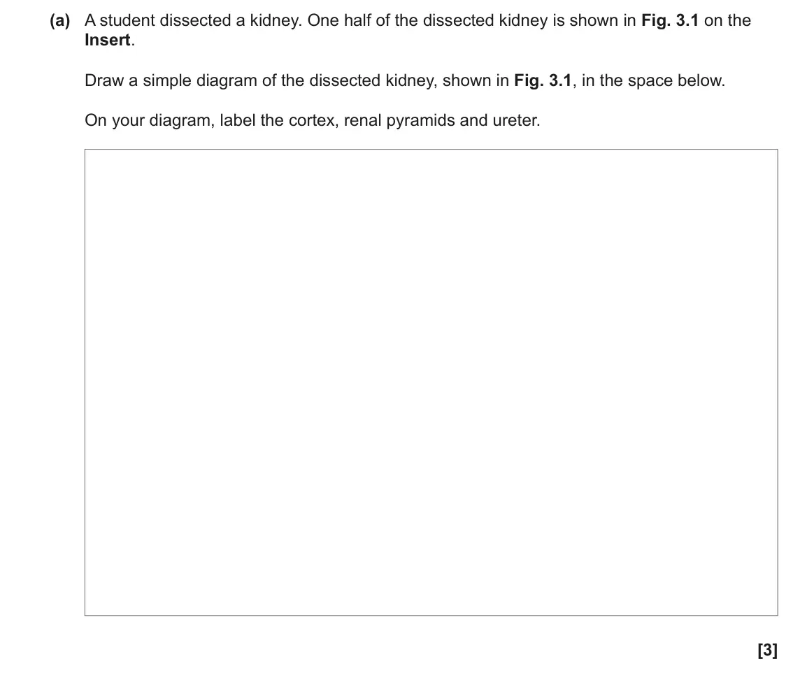 June 2023 Paper 3, question 3(a): A student dissected a kidney. One half of the dissected kidney is shown in Fig. 3.1 on the Insert. Draw a simple diagram of the dissected kidney, shown in Fig. 