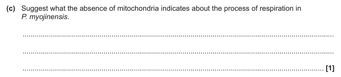June 2025 Paper 3, question 3(c): Suggest what the absence of mitochondria indicates about the process of respiration in P. myojinensis. [1]