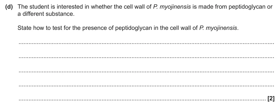 June 2025 Paper 3, question 3(d): The student is interested in whether the cell wall of P. myojinensis is made from peptidoglycan or a different substance. State how to test for the presence of 