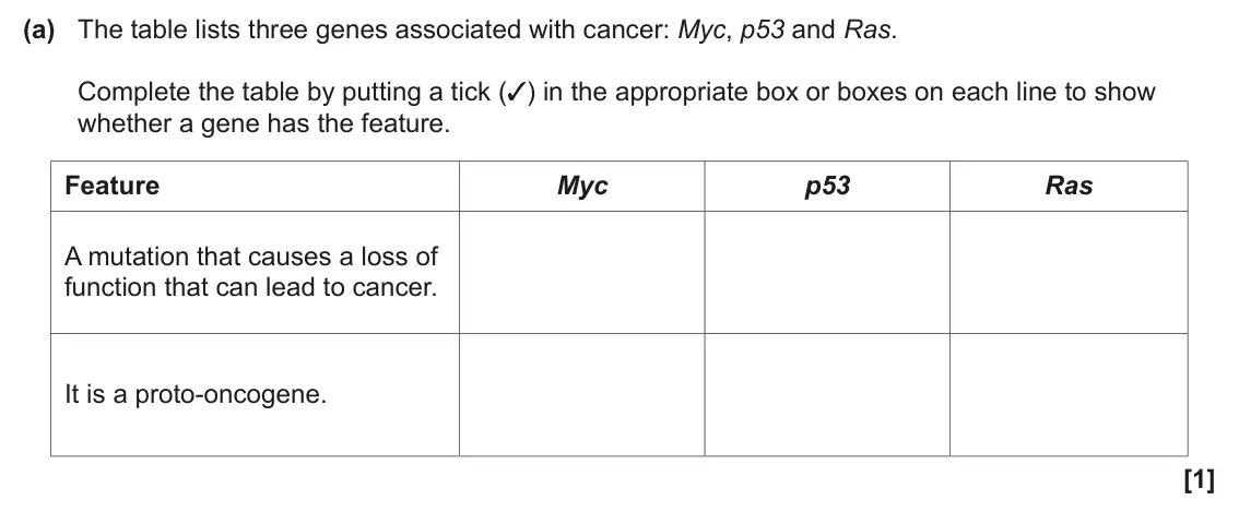 June 2025 Paper 3, question 4(a): The table lists three genes associated with cancer: Myc, p53 and Ras. Complete the table by putting a tick (✓) in the appropriate box or boxes on each line to s