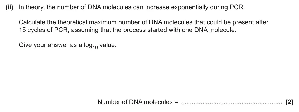 June 2025 Paper 3, question 4(b)(ii): In theory, the number of DNA molecules can increase exponentially during PCR. Calculate the theoretical maximum number of DNA molecules that could be present af