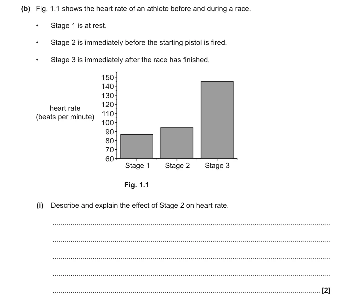 November 2020 Paper 3, question 1(b)(i): Describe and explain the effect of Stage 2 on heart rate. [2]