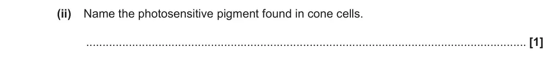 November 2020 Paper 3, question 3(a)(ii): Name the photosensitive pigment found in cone cells. [1]