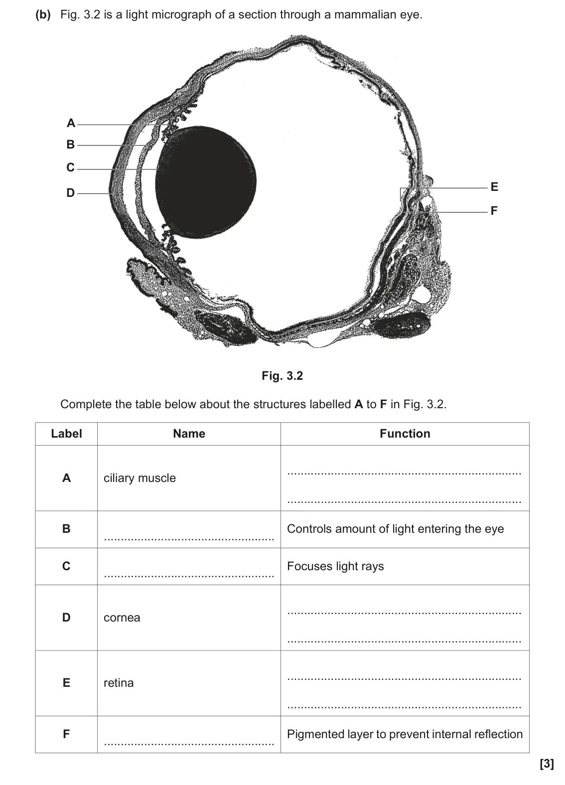 November 2020 Paper 3, question 3(b): Fig. 3.2 is a light micrograph of a section through a mammalian eye. A B C E D F Fig. 3.2 Complete the table below about the structures labelled A to F in Fig.