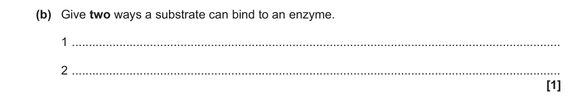 June 2018 Paper 1, question 32(b): Give two ways a substrate can bind to an enzyme. 1 2 [1]