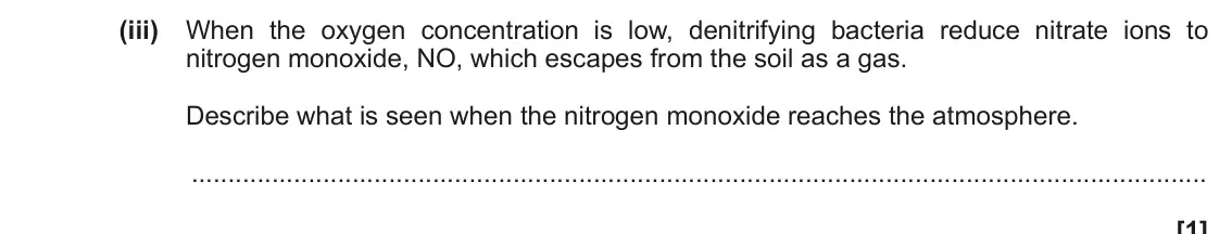 November 2021 Paper 1, question 31(b)(iii): When the oxygen concentration is low, denitrifying bacteria reduce nitrate ions to nitrogen monoxide, NO, which escapes from the soil as a gas. Describe what is