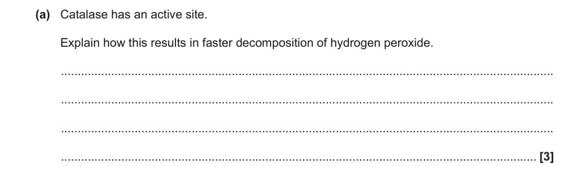 June 2018 Paper 2, question 3(a): Catalase has an active site. Explain how this results in faster decomposition of hydrogen peroxide. [3]