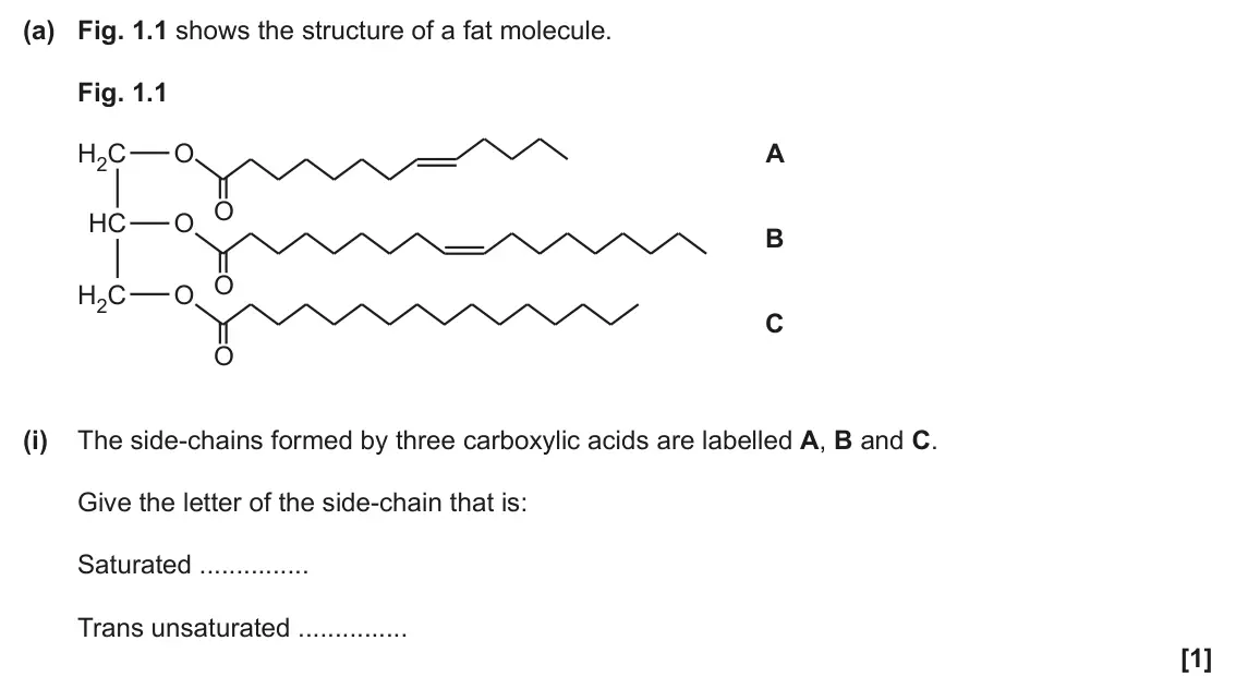 June 2024 Paper 2, question 1(a)(i): The side-chains formed by three carboxylic acids are labelled A, B and C. Give the letter of the side-chain that is: Saturated Trans unsaturated [1]