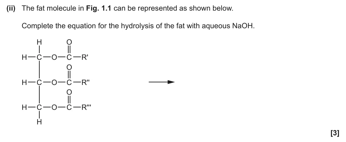 June 2024 Paper 2, question 1(a)(ii): The fat molecule in Fig. 1.1 can be represented as shown below. Complete the equation for the hydrolysis of the fat with aqueous NaOH. H O H C O C R' O H C O C