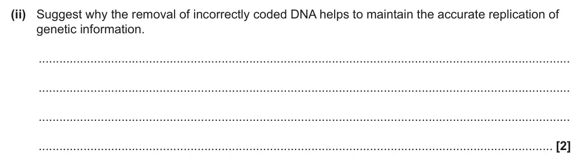 June 2024 Paper 2, question 3(e)(ii): Suggest why the removal of incorrectly coded DNA helps to maintain the accurate replication of genetic information. [2]