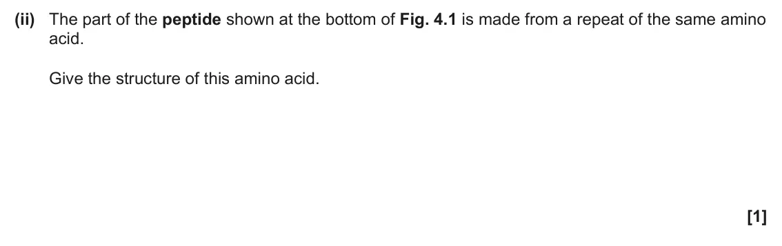 June 2025 Paper 2, question 4(a)(ii): The part of the peptide shown at the bottom of Fig. 4.1 is made from a repeat of the same amino acid. Give the structure of this amino acid. [1]