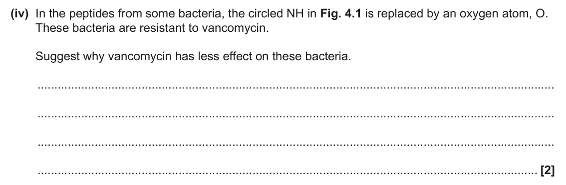 June 2025 Paper 2, question 4(a)(iv): In the peptides from some bacteria, the circled NH in Fig. 4.1 is replaced by an oxygen atom, O. These bacteria are resistant to vancomycin. Suggest why vancomy