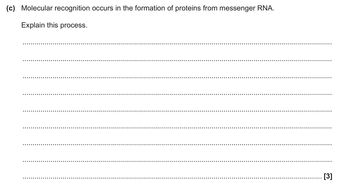 June 2025 Paper 2, question 4(c): Molecular recognition occurs in the formation of proteins from messenger RNA. Explain this process. [3]