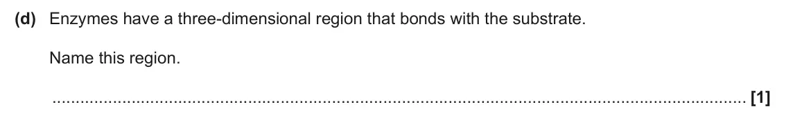 June 2025 Paper 2, question 4(d): Enzymes have a three-dimensional region that bonds with the substrate. Name this region. [1]
