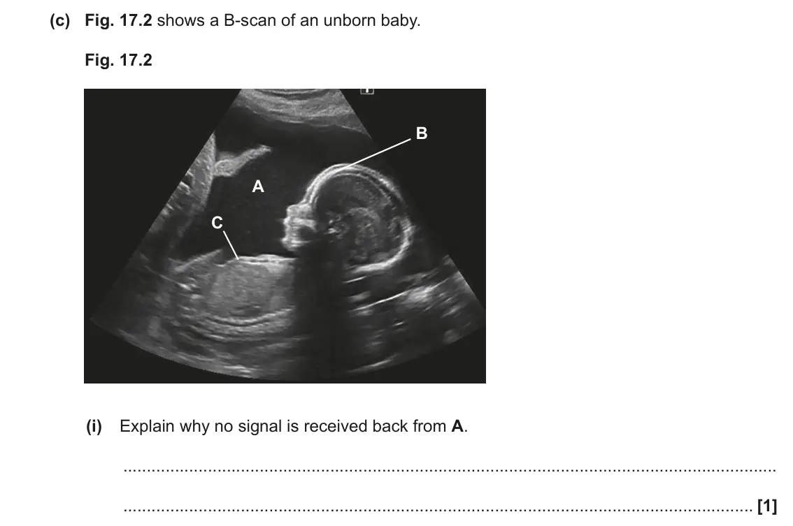 June 2023 Paper 2, question 17(c)(i): Explain why no signal is received back from A. [1]